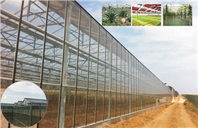 信義農(nóng)業(yè)生態(tài)園230KW光伏農(nóng)業(yè)大棚 信義農(nóng)業(yè)生態(tài)園230KW光伏農(nóng)業(yè)大棚