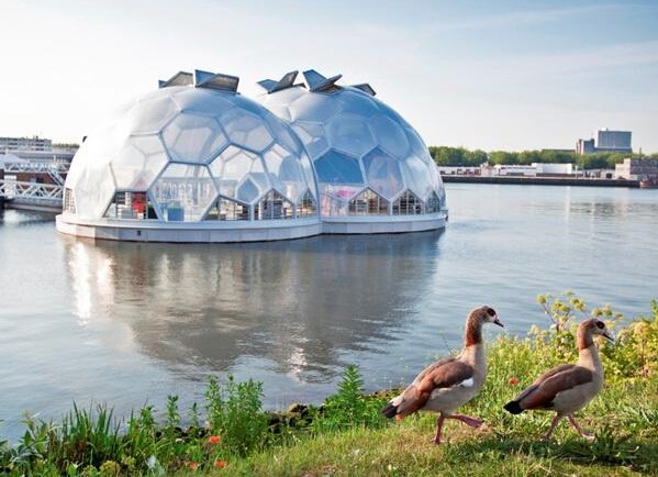 【圖賞】最美的水上光伏建筑 【圖賞】最美的水上光伏建筑